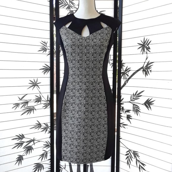 Enfocus Studio Black White Cap Sleeve Sheath Dress - Picture 6 of 12